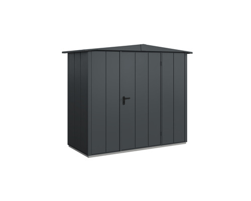 Abri de jardin Hörmann EcoStar Elegant-S type 1 RAL7016 porte à un vantail 258.8 x 121.3 cm anthracite