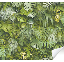 Papier peint avec motif de plantes tropicales