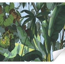 Papier peint avec motifs de plantes de la jungle