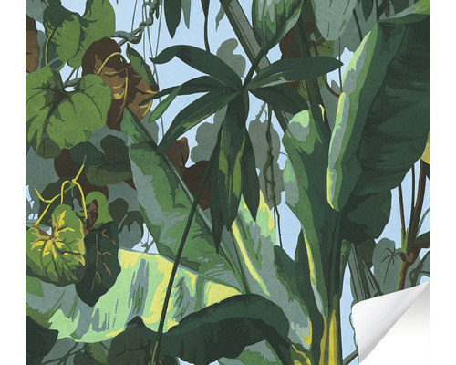 Papier peint avec motifs de plantes de la jungle