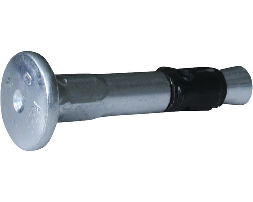 Clou pour plafond Knauf 6x30 mm paquet = 100 pces Ancre à boulon avec boulon