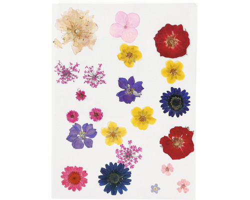 Getrocknete Blumen für Dekorationszwecke