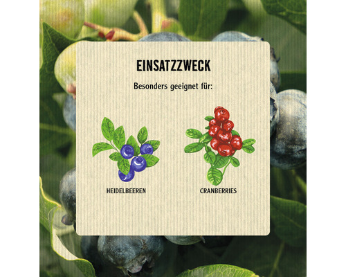 Illustration, die die besondere Eignung für Blaubeeren und Cranberries darstellt.
