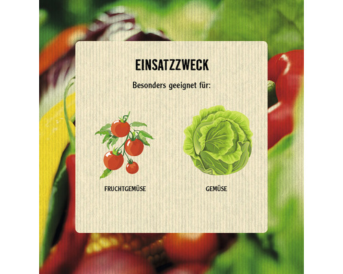 Grafische Darstellung des Einsatzzwecks mit Fruchtgemüse und Gemüse