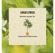Zitrus- und Mediterranpflanzerde FloraSelf Select® 15l-thumb-2