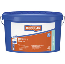 Rouleau à peinture RAUTNER R-LOTEX12 25 cm - HORNBACH