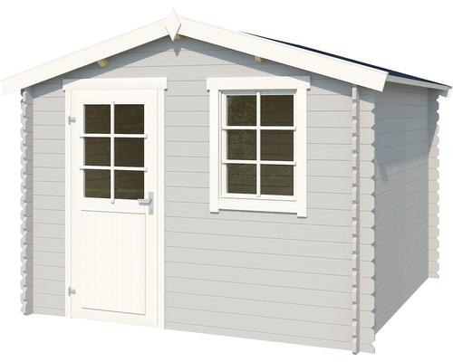 Abri de jardin avec fenêtre et porte