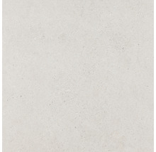Carreau de céramique avec surface mate