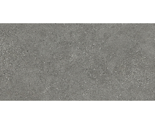 Feinsteinzeug Wand- und Bodenfliese Alpen 30x60 cm grau matt