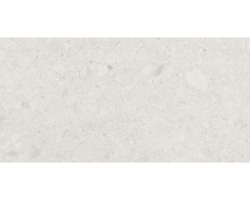 Feinsteinzeug Wand- und Bodenfliese Terrazzo Donau 30 x 60 cm beige matt rektifiziert