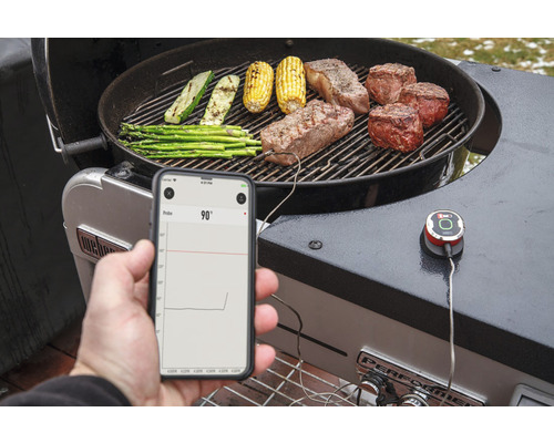 Aufnahme eines Grills mit Steaks, Maiskolben, Zucchini und Spargel, wobei ein Smartphone die Temperatur anzeigt.