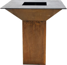 Table de brasero Tiger Fire en métal