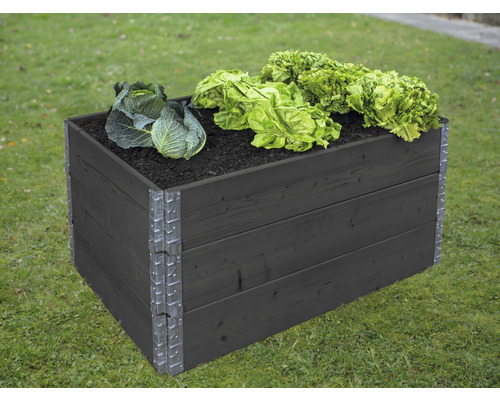 Hochbeet aus Holz mit Salat bepflanzt im Garten