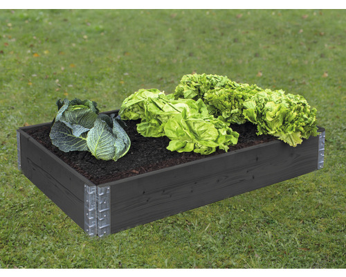 Jardinière surélevée à système d'enfichage 120x80x20 cm anthracite