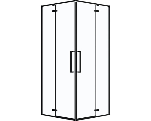 Cabine de douche d''angle avec portes et poignées en verre