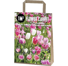Verpackung Blumenzwiebeln für ein Quadratmeter Blumenbeet