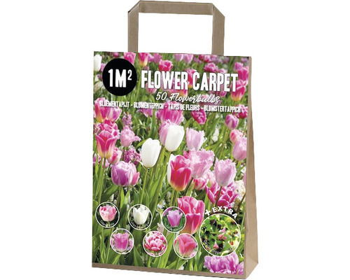 Blumenzwiebel Blumenteppich-Mix 'Fata Morgana' mit Tulpen 'Tom Pouce', 'Fancy Frills', 'Columbus', 'Finola', 'Mistress' & 'Royal Virgin', Oxalis 'Deppei Iron Cross' 50 Stk Verpackung Blumenzwiebeln für ein Quadratmeter Blumenbeet