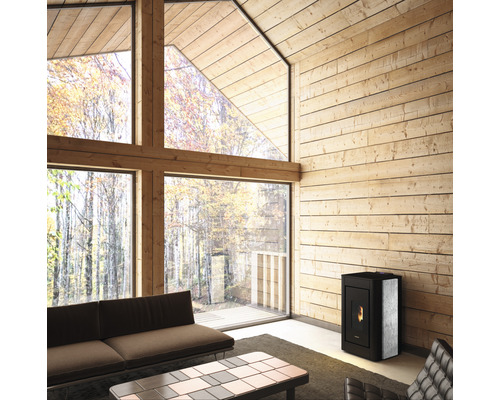 Séjour avec revêtement mural en bois, grande fenêtre et poêle à pellets
