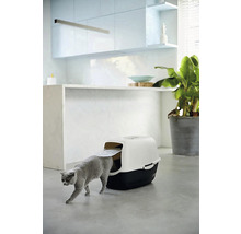 Katze betritt Katzentoilette im hellen Raum