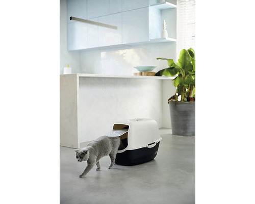 Katze betritt Katzentoilette im hellen Raum