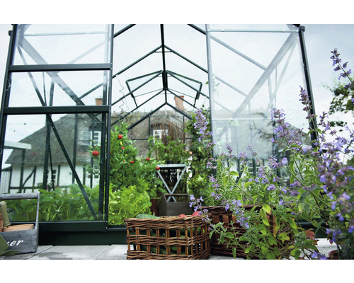 Serre avec plantes et potagers