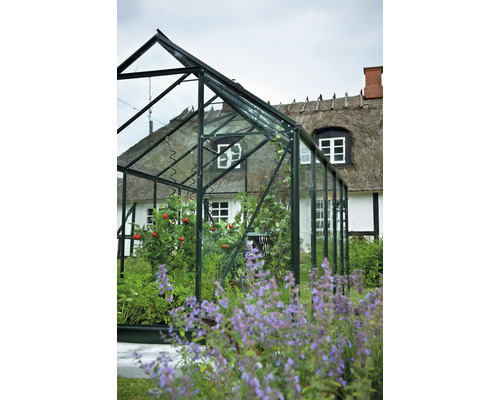 Serre avec des plantes devant une maison au toit de chaume