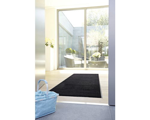 Entrée avec tapis noir, façade vitrée et éléments décoratifs pour un look moderne