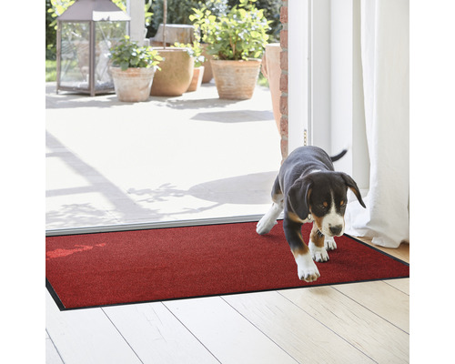 Paillasson rouge d''intérieur avec un chien