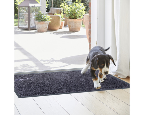Tapis anti-salissures dans l''entrée avec chien