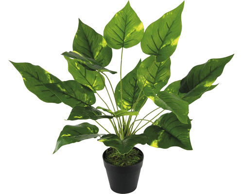 Kunstpflanze Pothospflanze im Topf H 40 cm