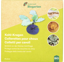 Collerettes pour choux Andermatt Biogarten, paquet pour la protection contre la mouche du chou