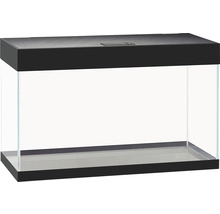 Aquarium rectangulaire en verre avec couvercle