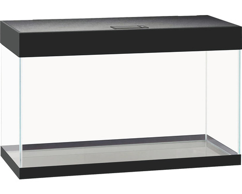 Aquarium rectangulaire en verre avec couvercle