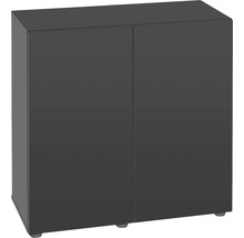 Meuble bas gris foncé avec deux portes