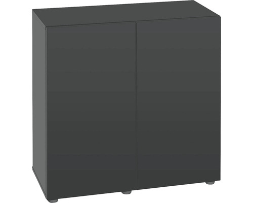 Meuble bas gris foncé avec deux portes