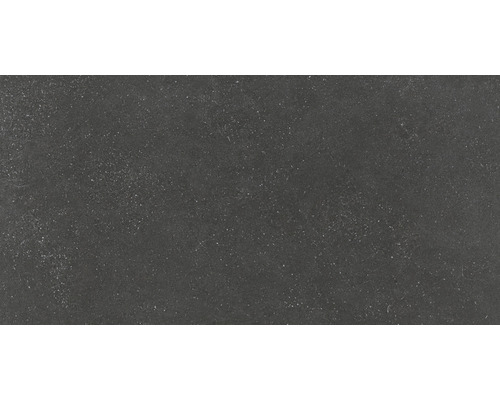 Carrelage mur et sol en grès cérame fin Alpen 30x60 cm graphite mat