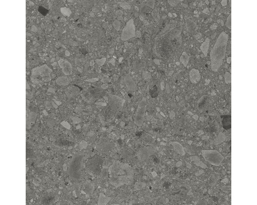 Carrelage sol et mur en grès cérame fin Terrazzo Donau 60 x 60 cm gris mat rectifié Carrelage sol et mur en grès cérame fin Terrazzo Donau 60 x 60 cm gris mat rectifié