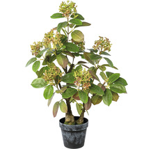 Skimmia artificielle en pot comme décoration