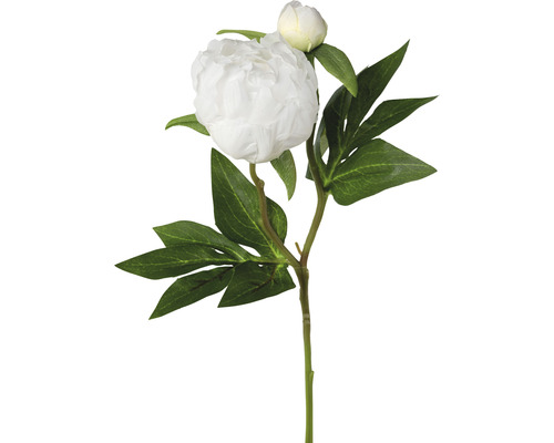 Plante artificielle pivoine h 46 cm blanc