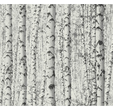 Tapete mit Birkenwaldmuster