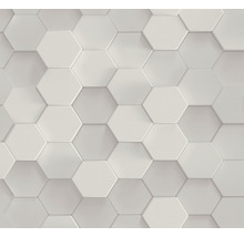 Carreaux muraux hexagonaux pour l''intérieur