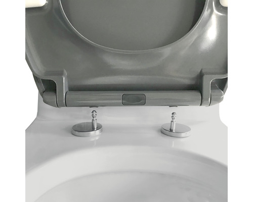 Abattant de WC avec fixation sur des toilettes