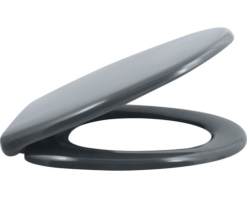 Abattant de WC en plastique