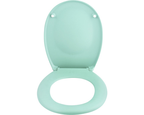 Abattant de WC en plastique