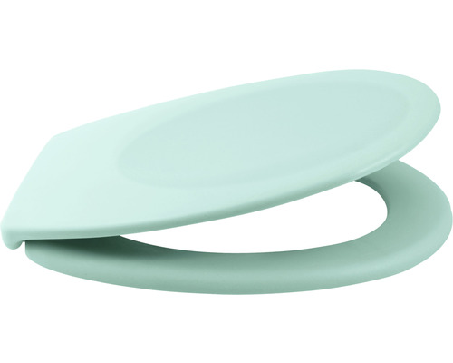 Abattant de WC en plastique