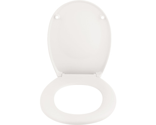 Toilettendeckel aus Kunststoff