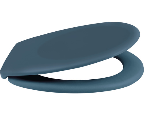 Abattant de WC en plastique