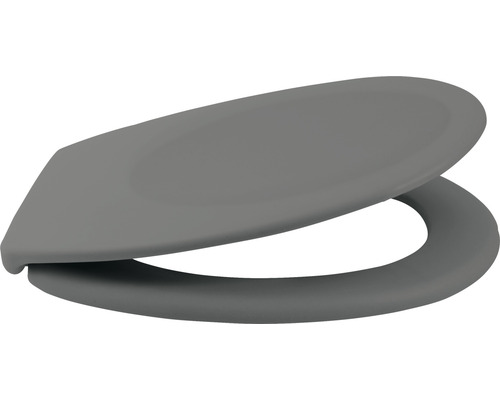 Abattant de WC gris