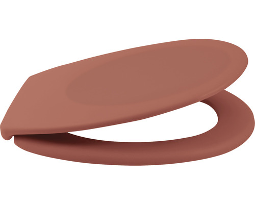 Abattant de WC en plastique