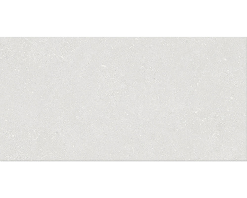 Carrelage mur et sol en grès cérame fin Alpen 30x60 cm blanc mat
